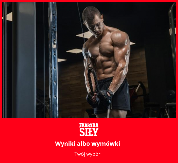 Wyniki albo wymówki - motywacja do treningu - Fabryka Siły
