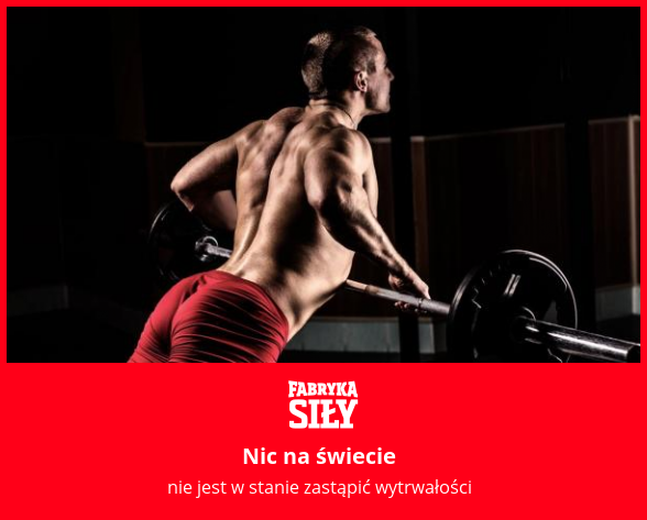 Nic na świecie - motywacja do treningu - Fabryka Siły