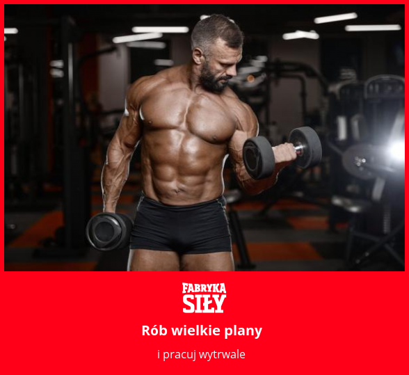 Rób wielkie plany - motywacja do treningu - Fabryka Siły